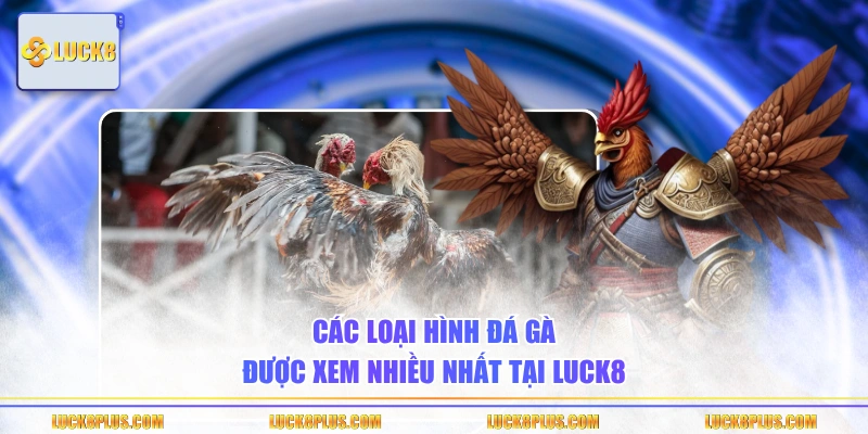 Các loại hình đá gà được xem nhiều nhất tại LUCK8