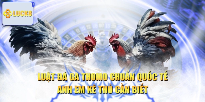 Luật Đá Gà Thomo Chuẩn Quốc Tế Anh Em Kê Thủ Cần Biết