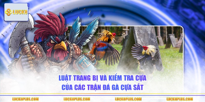 Luật trang bị và kiểm tra cựa của các trận đá gà cựa sắt