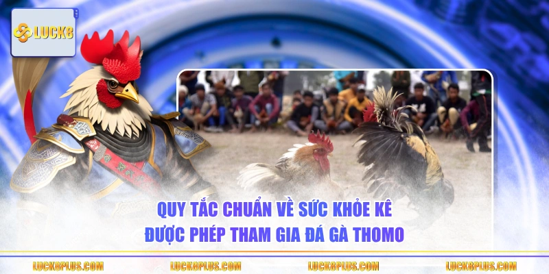 Quy tắc chuẩn về sức khỏe kê được phép tham gia đá gà Thomo