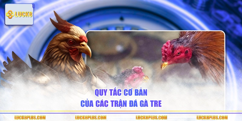 Quy tắc cơ bản của các trận đá gà tre