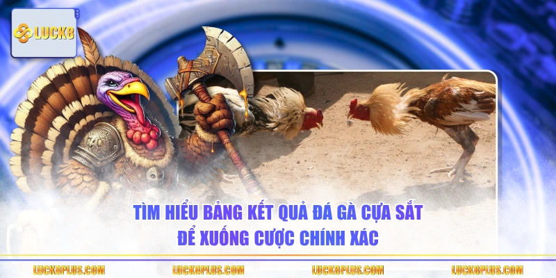 Tìm hiểu bảng kết quả đá gà cựa sắt để xuống cược chính xác
